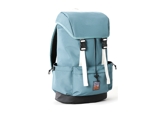 Mochila Rip Curl Forester 26L